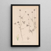 Herbier de la flore française Pl0329 - Louis Antoine Cusin — cuadro enmarcado en la pared