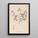 Herbier de la flore française Pl0331 - Louis Antoine Cusin — framed artwork on a wall