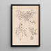 Herbier de la flore française Pl0346 - Louis Antoine Cusin — framed artwork on a wall