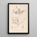 Herbier de la flore française Pl0378 - Louis Antoine Cusin — framed artwork on a wall