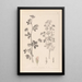 Herbier de la flore française Pl0381 - Louis Antoine Cusin — cuadro enmarcado en la pared