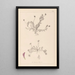 Herbier de la flore française Pl0399 - Louis Antoine Cusin — cuadro enmarcado en la pared