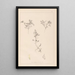 Herbier de la flore française Pl0401 - Louis Antoine Cusin — cuadro enmarcado en la pared