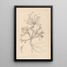 Herbier de la flore française Pl0417 - Louis Antoine Cusin — framed artwork on a wall