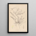 Herbier de la flore française Pl0418 - Louis Antoine Cusin — cuadro enmarcado en la pared