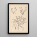 Herbier de la flore française Pl0426 - Louis Antoine Cusin — framed artwork on a wall