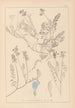 Herbier de la flore française Pl0431 - Louis Antoine Cusin — vista de la obra