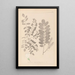 Herbier de la flore française Pl0437 - Louis Antoine Cusin — framed artwork on a wall