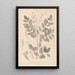 Herbier de la flore française Pl0439 - Louis Antoine Cusin — framed artwork on a wall
