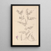 Herbier de la flore française Pl0443 - Louis Antoine Cusin — framed artwork on a wall