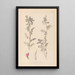 Herbier de la flore française Pl0444 - Louis Antoine Cusin — framed artwork on a wall