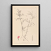 Herbier de la flore française Pl0447 - Louis Antoine Cusin — framed artwork on a wall