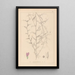 Herbier de la flore française Pl0453 - Louis Antoine Cusin — cuadro enmarcado en la pared