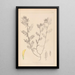 Herbier de la flore française Pl0454 - Louis Antoine Cusin — framed artwork on a wall