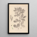 Herbier de la flore française Pl0457 - Louis Antoine Cusin — cuadro enmarcado en la pared