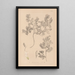 Herbier de la flore française Pl0463 - Louis Antoine Cusin — framed artwork on a wall