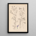 Herbier de la flore française Pl0464 - Louis Antoine Cusin — cuadro enmarcado en la pared