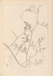 Herbier de la flore française Pl0466 - Louis Antoine Cusin — vista de la obra