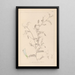 Herbier de la flore française Pl0479 - Louis Antoine Cusin — cuadro enmarcado en la pared