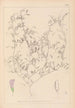 Herbier de la flore française Pl0484 - Louis Antoine Cusin — vista de la obra