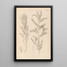 Herbier de la flore française Pl0487 - Louis Antoine Cusin — cuadro enmarcado en la pared