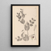 Herbier de la flore française Pl0491 - Louis Antoine Cusin — cuadro enmarcado en la pared