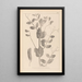 Herbier de la flore française Pl0492 - Louis Antoine Cusin — cuadro enmarcado en la pared