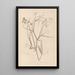 Herbier de la flore française Pl0508 - Louis Antoine Cusin — cuadro enmarcado en la pared