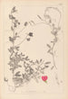 Herbier de la flore française Pl0510 - Louis Antoine Cusin — artwork view