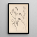 Herbier de la flore française Pl0516 - Louis Antoine Cusin — cuadro enmarcado en la pared