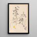 Herbier de la flore française Pl0530 - Louis Antoine Cusin — cuadro enmarcado en la pared