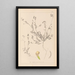 Herbier de la flore française Pl0541 - Louis Antoine Cusin — cuadro enmarcado en la pared