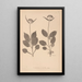 Herbier de la flore française Pl0688 - Louis Antoine Cusin — framed artwork on a wall