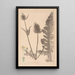 Herbier de la flore française Pl0710 - Louis Antoine Cusin — framed artwork on a wall