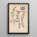 Herbier de la flore française Pl0821 - Louis Antoine Cusin — framed artwork on a wall