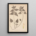 Herbier de la flore française Pl0830 - Louis Antoine Cusin — framed artwork on a wall
