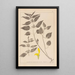Herbier de la flore française Pl0832 - Louis Antoine Cusin — cuadro enmarcado en la pared