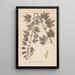 Herbier de la flore française Pl0833 - Louis Antoine Cusin — framed artwork on a wall