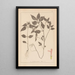 Herbier de la flore française Pl0841 - Louis Antoine Cusin — cuadro enmarcado en la pared