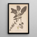 Herbier de la flore française Pl0846 - Louis Antoine Cusin — framed artwork on a wall