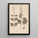 Herbier de la flore française Pl0847 - Louis Antoine Cusin — framed artwork on a wall