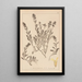 Herbier de la flore française Pl0873 - Louis Antoine Cusin — framed artwork on a wall