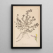 Herbier de la flore française Pl0903 - Louis Antoine Cusin — cuadro enmarcado en la pared