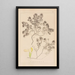 Herbier de la flore française Pl0912 - Louis Antoine Cusin — cuadro enmarcado en la pared