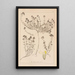 Herbier de la flore française Pl0914 - Louis Antoine Cusin — cuadro enmarcado en la pared