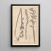 Herbier de la flore française Pl0982 - Louis Antoine Cusin — framed artwork on a wall