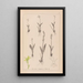 Herbier de la flore française Pl0997 - Louis Antoine Cusin — framed artwork on a wall