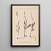 Herbier de la flore française Pl1001 - Louis Antoine Cusin — framed artwork on a wall