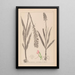 Herbier de la flore française Pl1002 - Louis Antoine Cusin — framed artwork on a wall