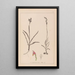 Herbier de la flore française Pl1012 - Louis Antoine Cusin — cuadro enmarcado en la pared